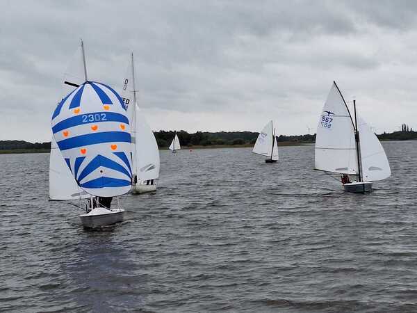 260519-veld-voordewind